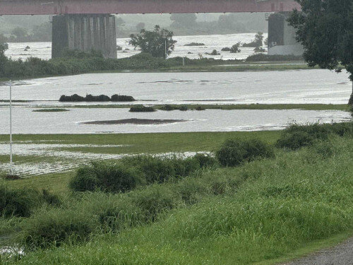 河川敷全体の冠水状況