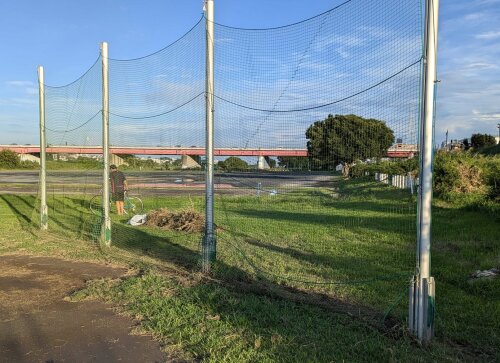 バックネット周辺の整備