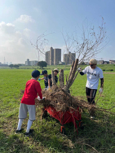 漂着物の撤去作業